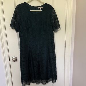 Dress Barn Dark Green Lace Midi Dress